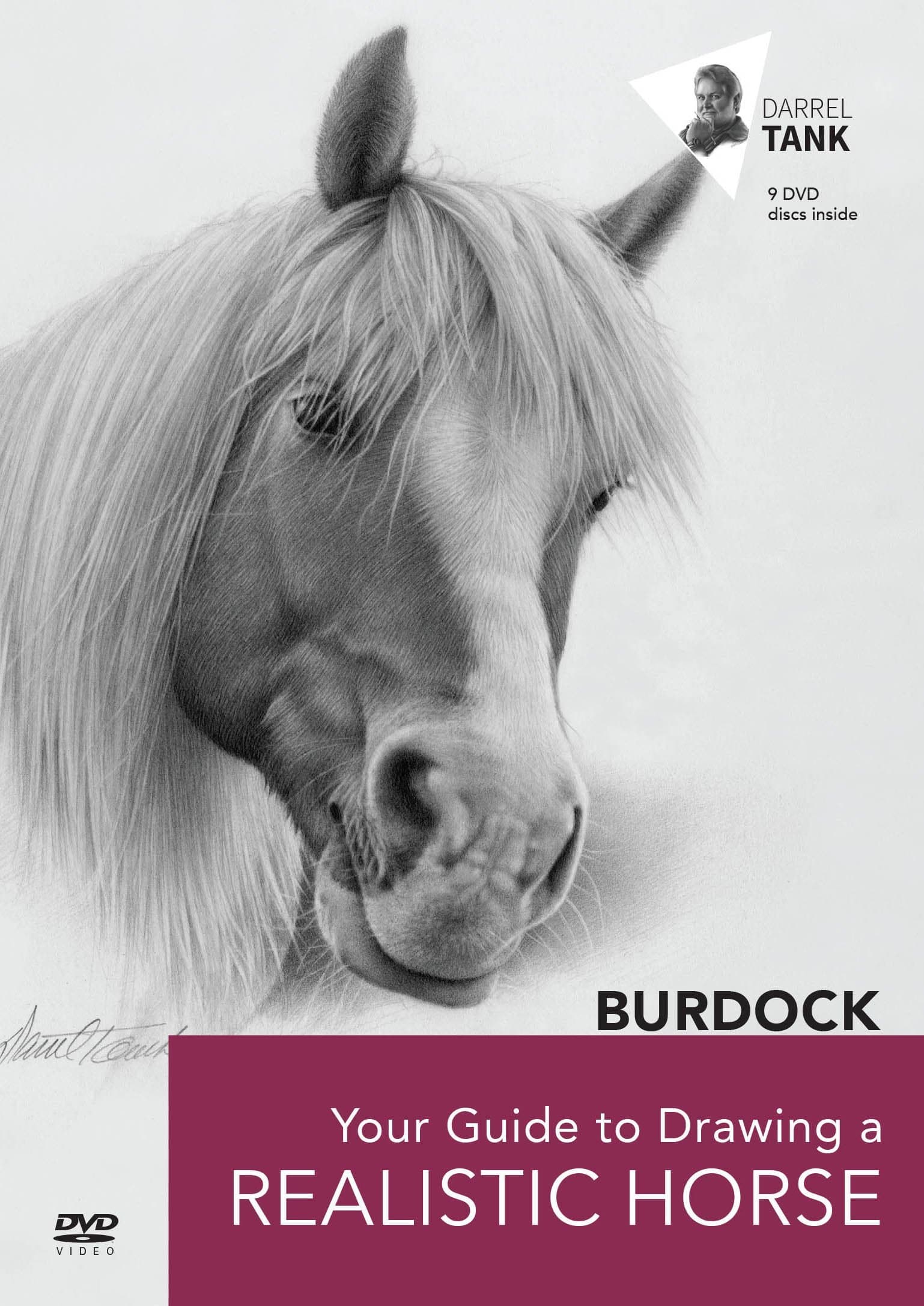 Burdock: Your Guide to Drawing a Realistic Horse
