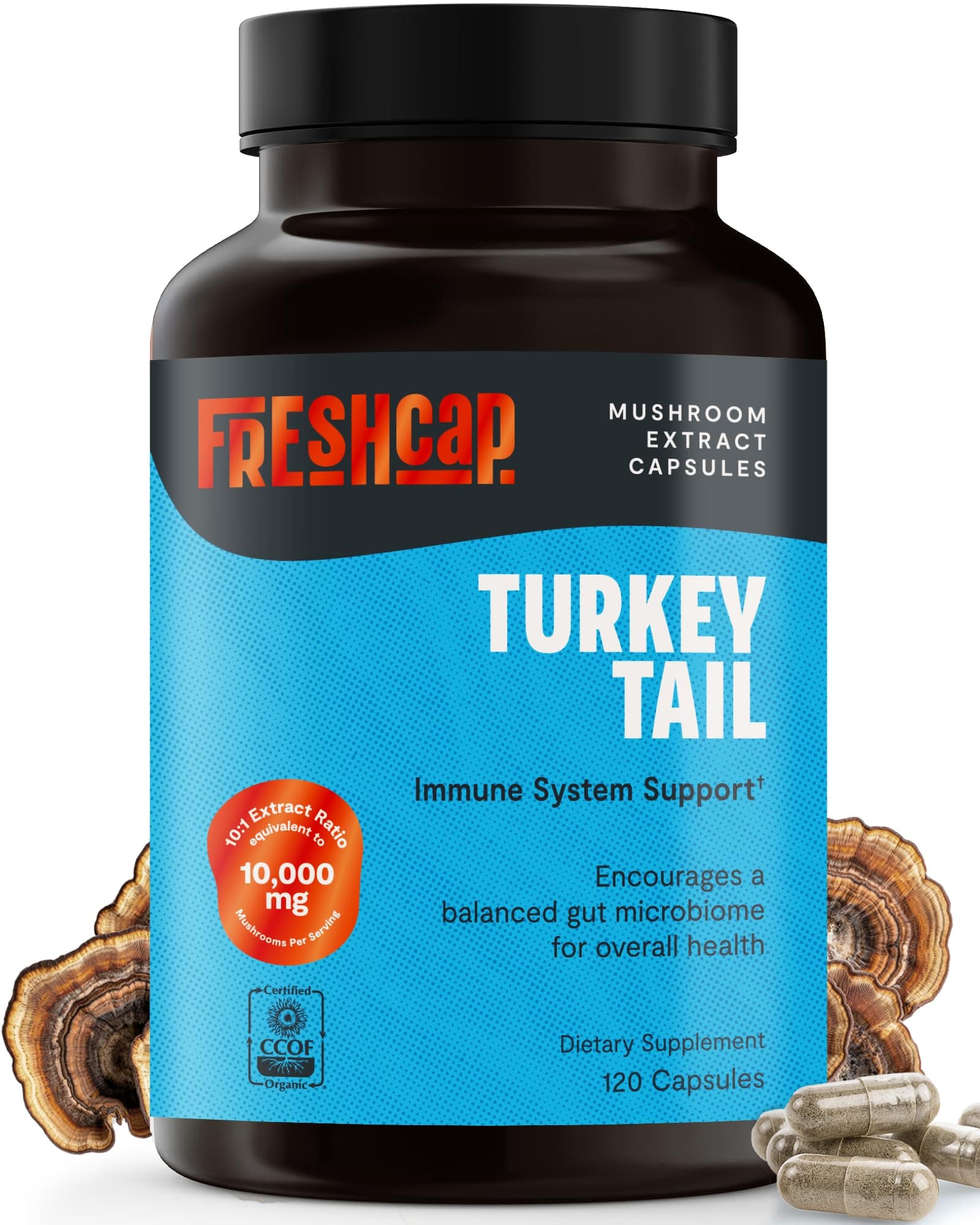 Turkey Tail Capsules, Powerful Immune Support (35% Beta-glucan), 120 Count (2 Month Supply), Organic, Daily Supplement, Fruiting Body Extract