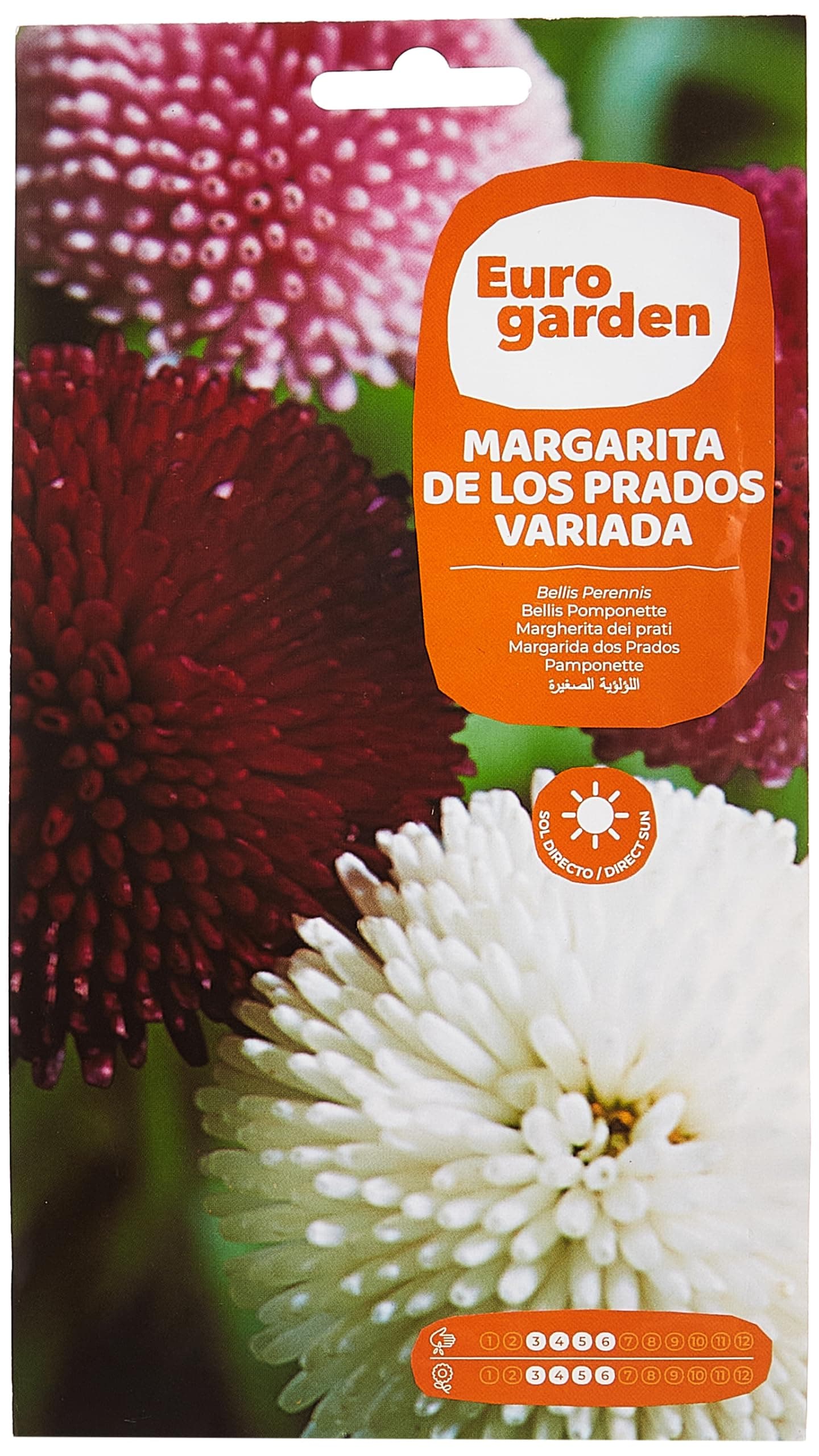 Euro Garden Belli Pomponette Seeds