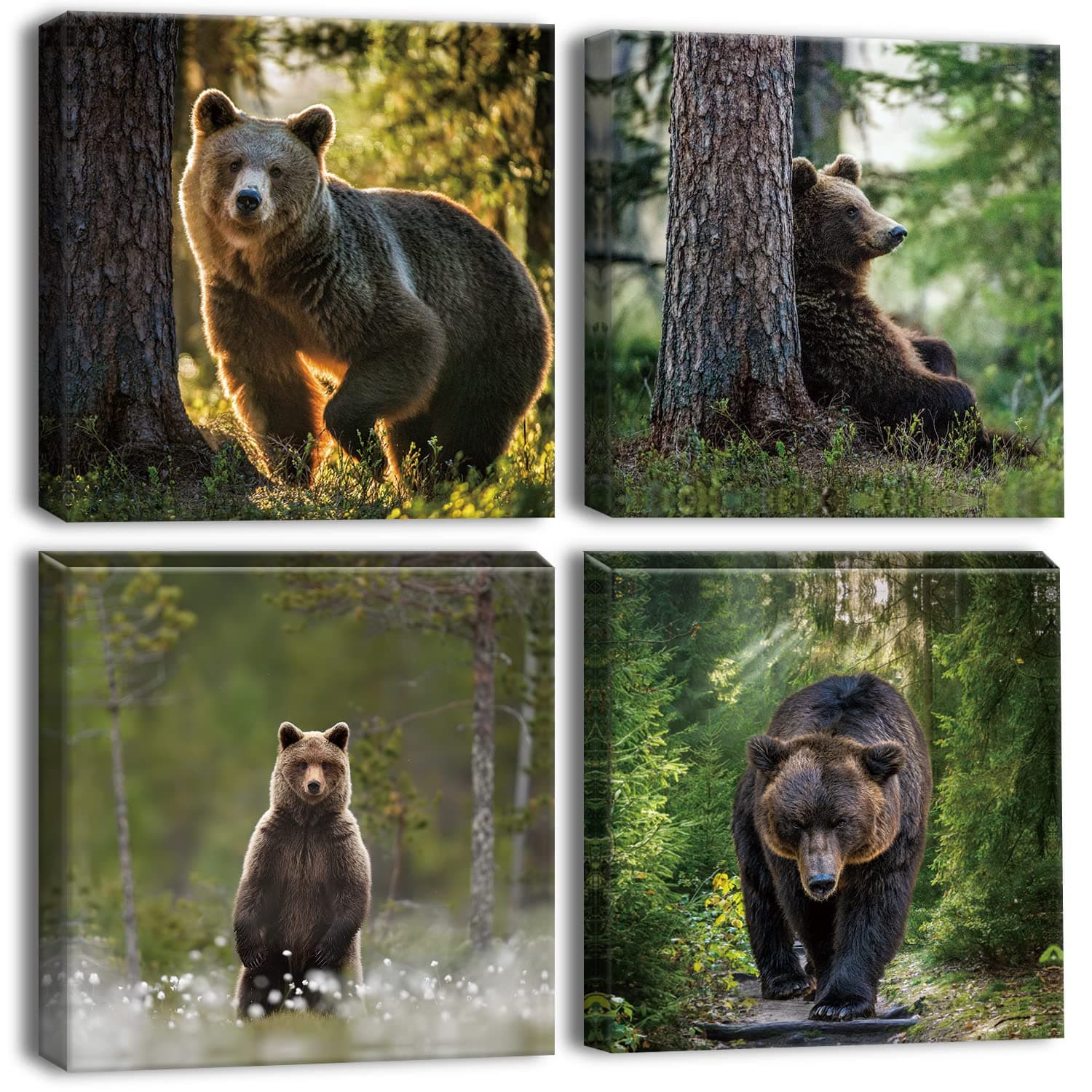 Artscope 4 Pieces Wall Art Canvas Prints - Forest and Bear Picture Painting - Modern Wall Artwork Framed for Gifts Bathroom Home Kitchen Office Decor - 30 x 30 CM