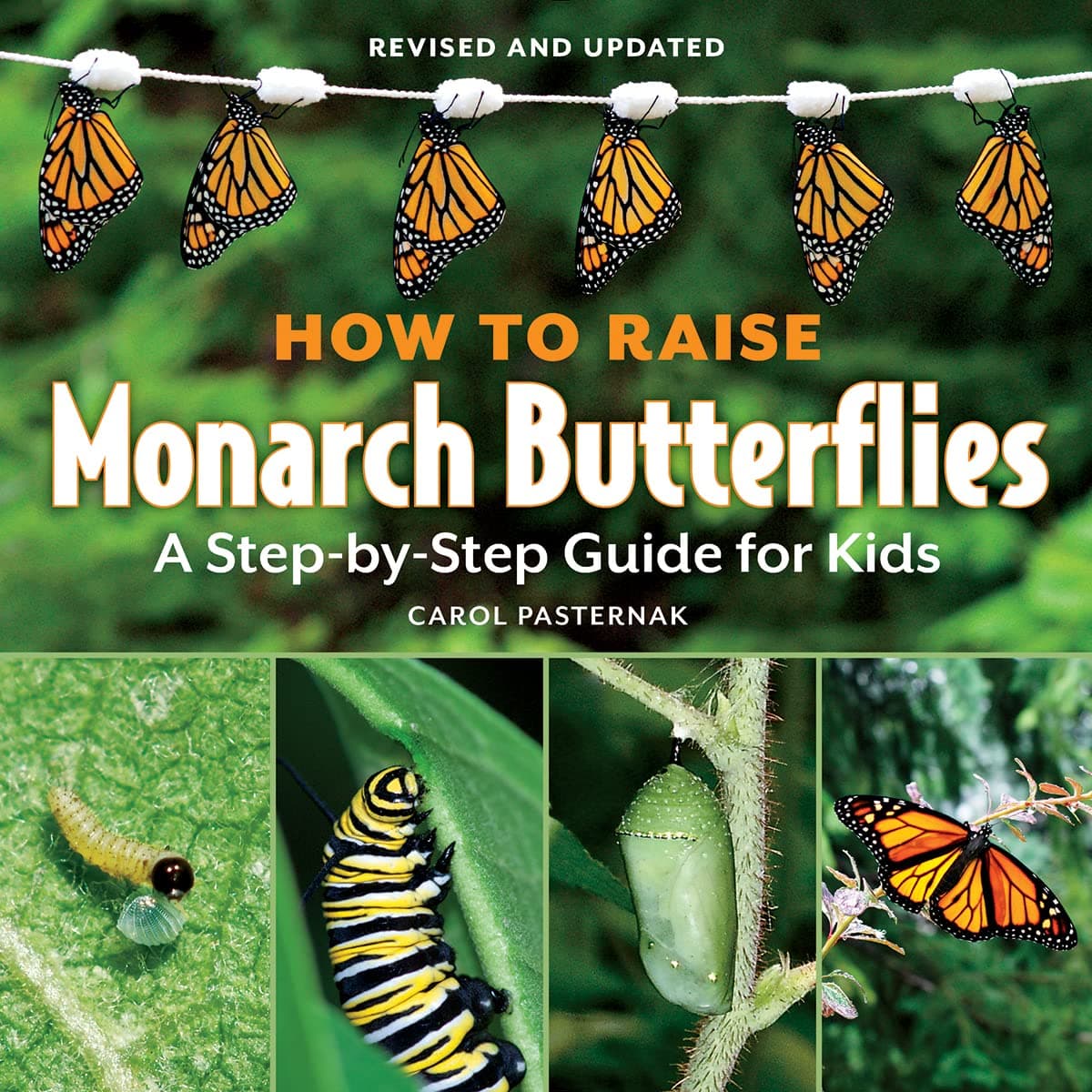 How to Raise Monarch Butterflies: A Step-by-Step Guide for Kids (How It Works)