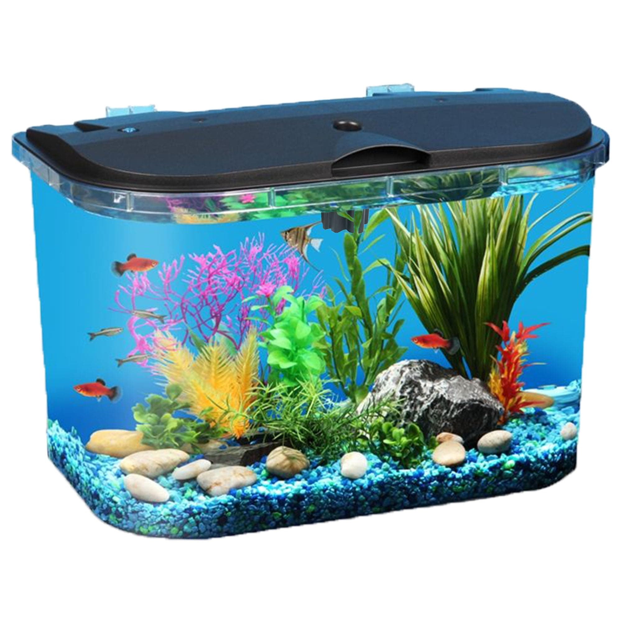 5-Gallon Aquarium Kit with LED Lighting and Power Filter, Ideal for a Variety of Tropical Fish