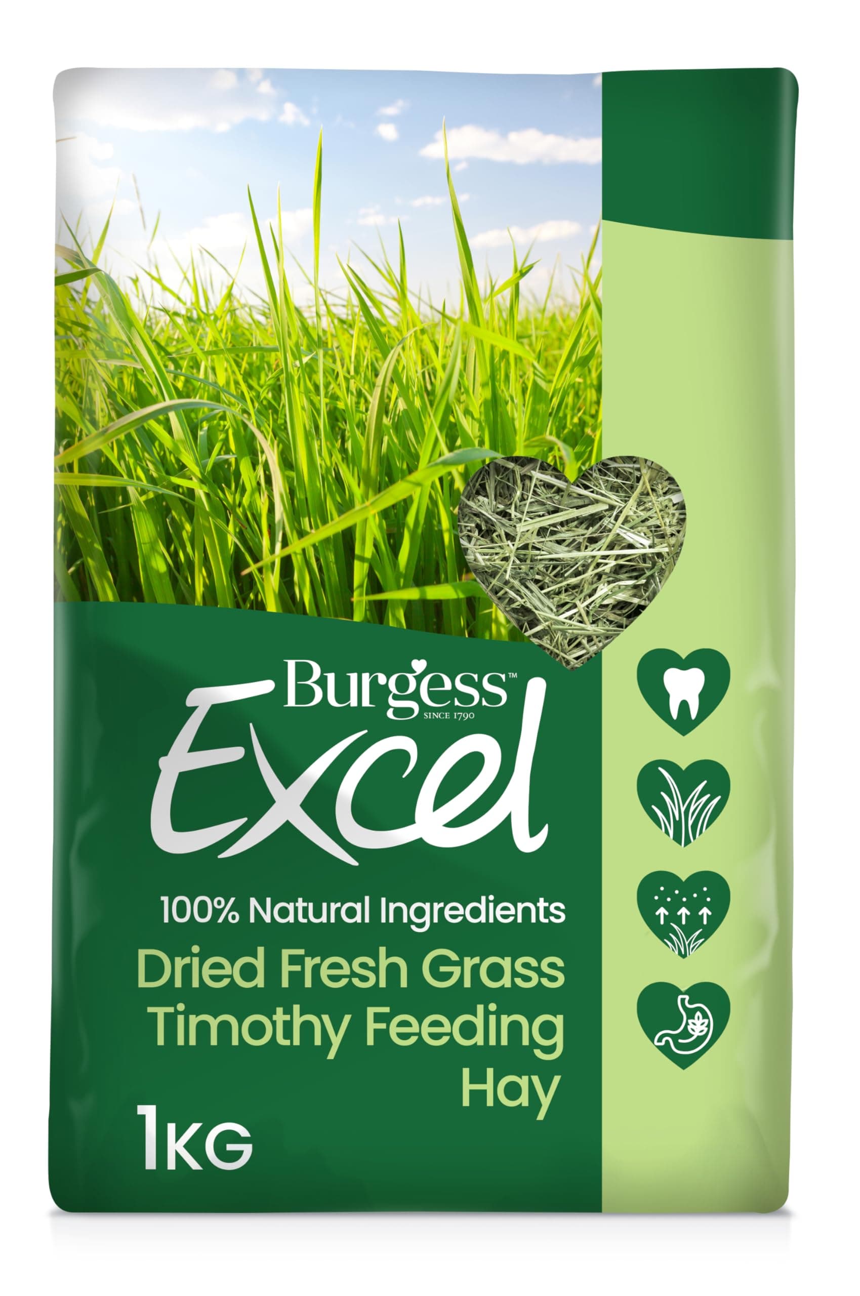 Burgess Excel Forage Dried Grass, 1 kg