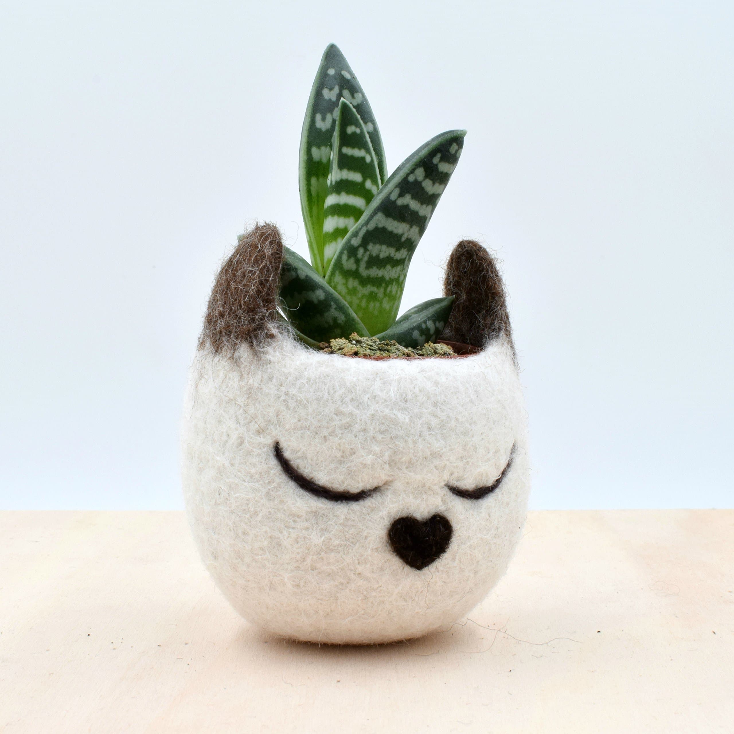 Felt succulent planter | Siamese Cat lover gift for her, Decorative Flower Pot, Small indoor vase