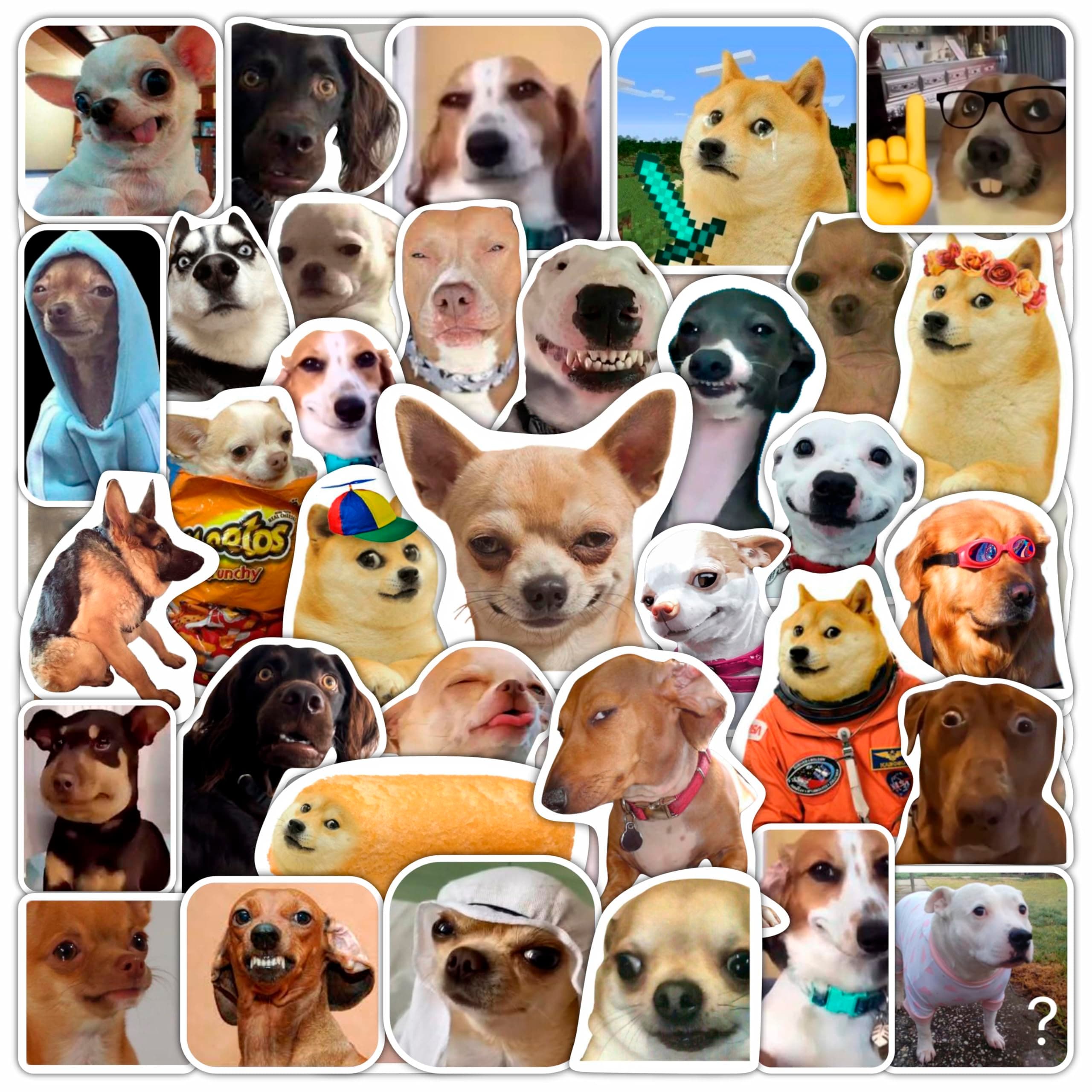 BulbaCraft 面白い犬のミームステッカー、犬のギフト、女性と男性へのギフト