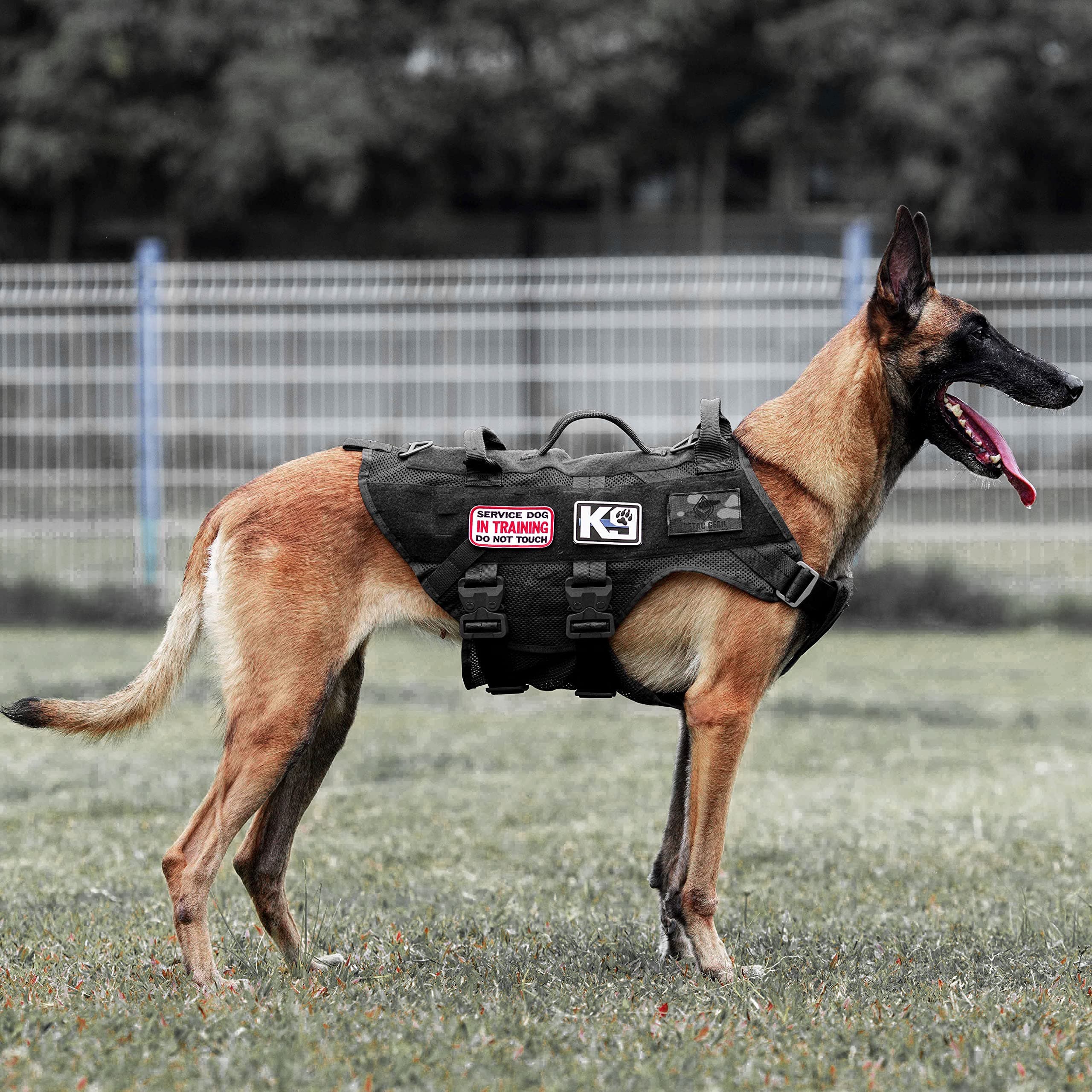 Tactical Dog Harness No Pull for Large Working Dogs Military Dogs Vest Police Service Training Dogs Molle Harnesses with Handle … …