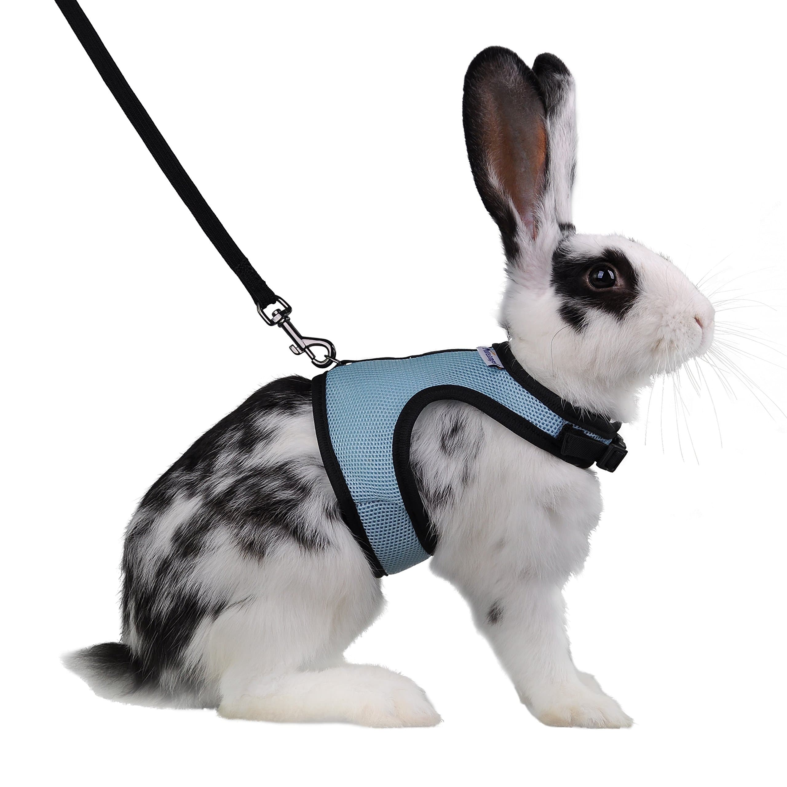 Niteangel® Adjustable Soft Harness with Elastic Leash for Rabbits (L, Blue)