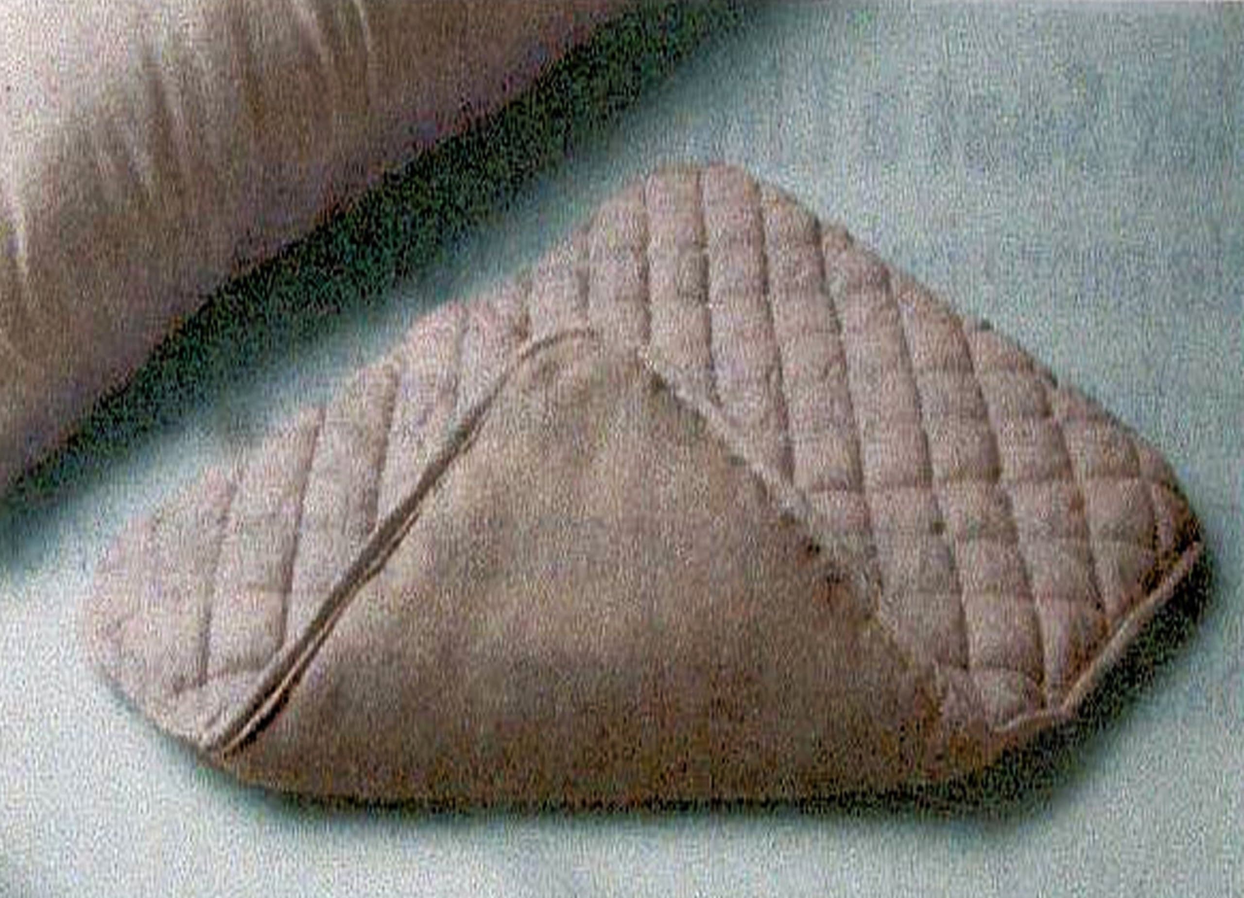 Quilted Magnetic Therapy PAD with 32 Magnets