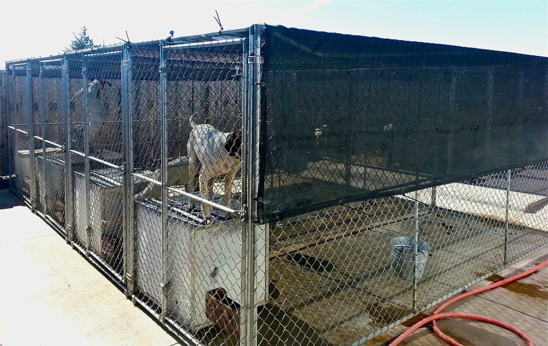 Kennel Cover 6' X 12' Black