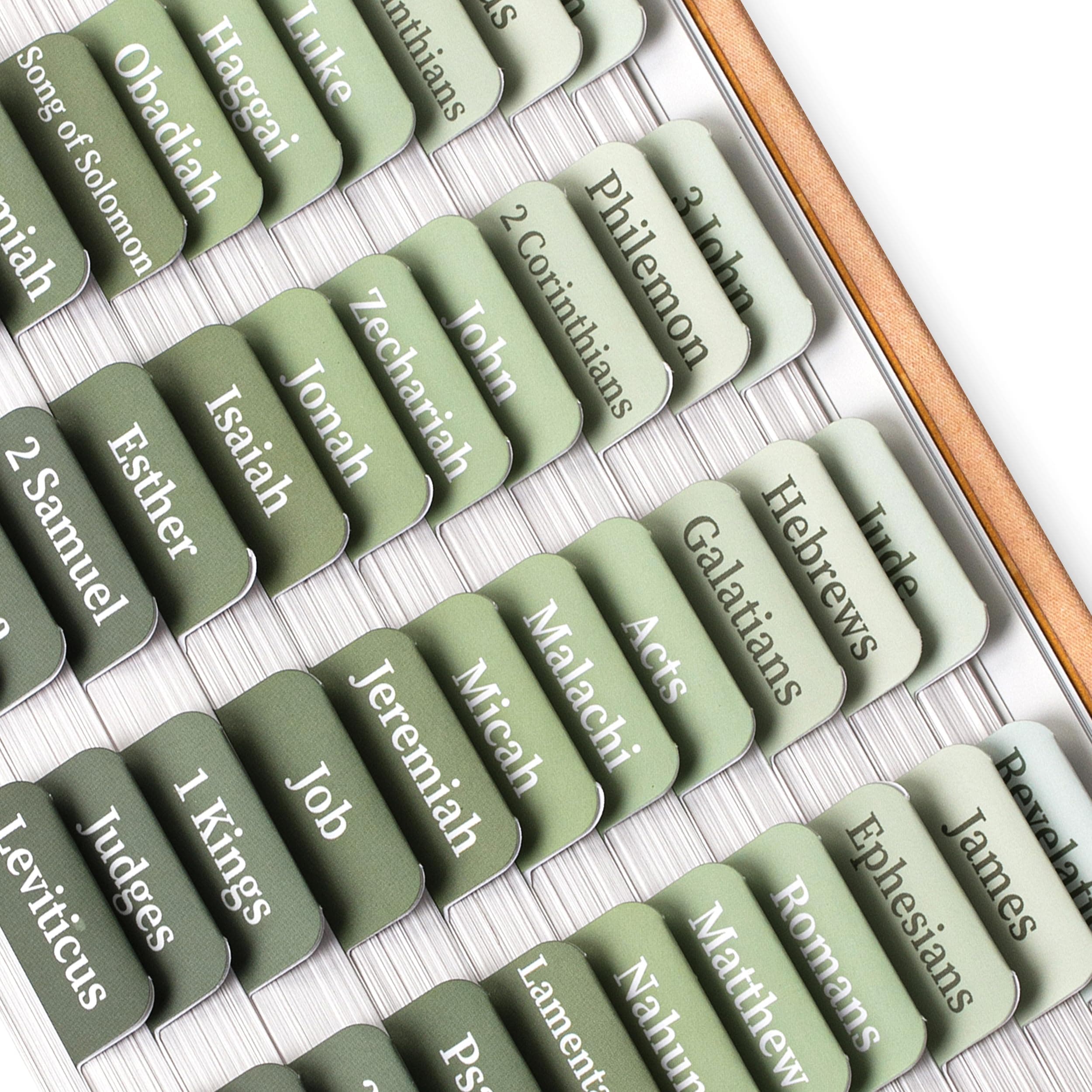 Mr. Pen- Bible Tabs, 75 Tabs, Sage Green, Laminated Bible Tabs for Women and Men, Bible Tabs for Study Bible Index Tabs, Bible Book Tabs, Bible Labels Tabs, Mr Pen Bible Tabs for Women Study Bible
