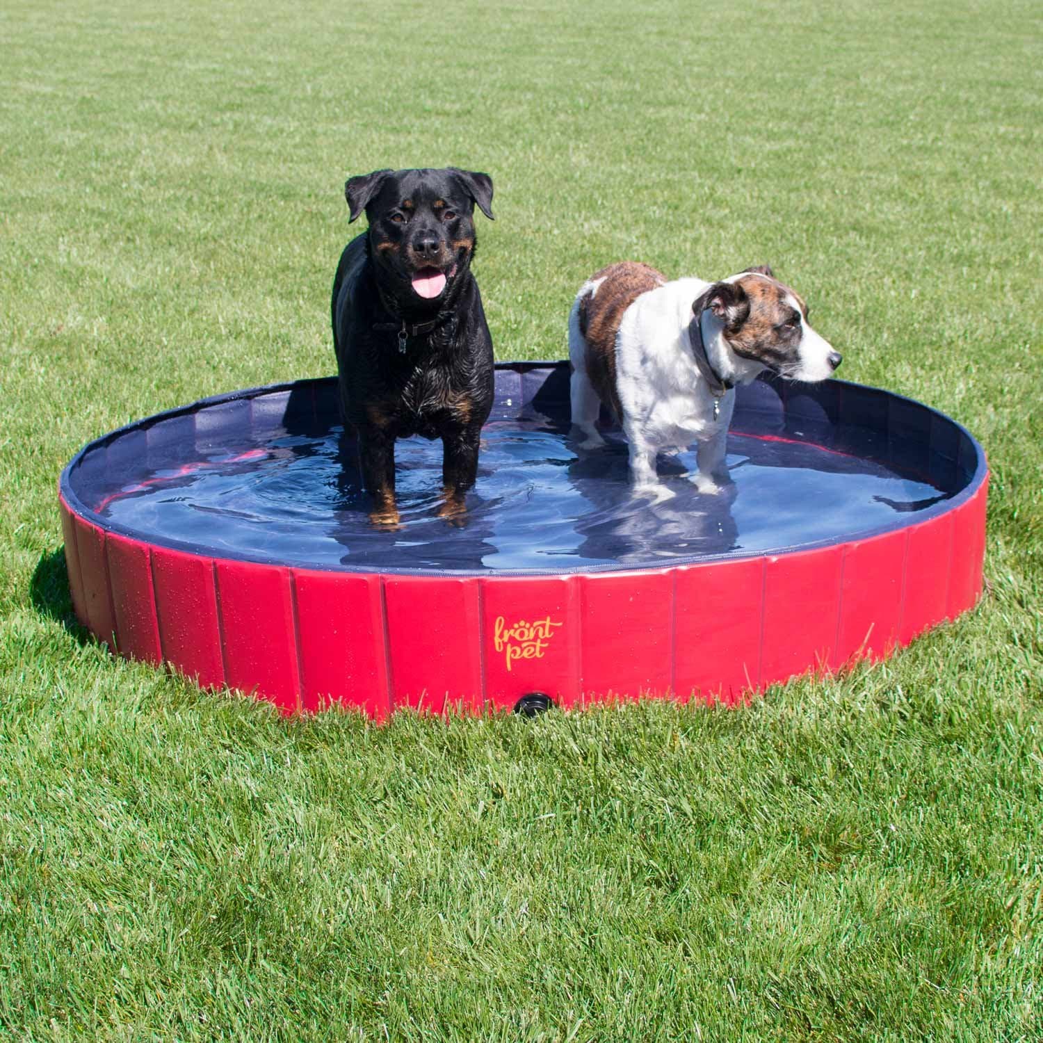 FrontPet Foldable Extra Large Dog Pet Pool Bathing Tub (60 Inch X 12 Inch)