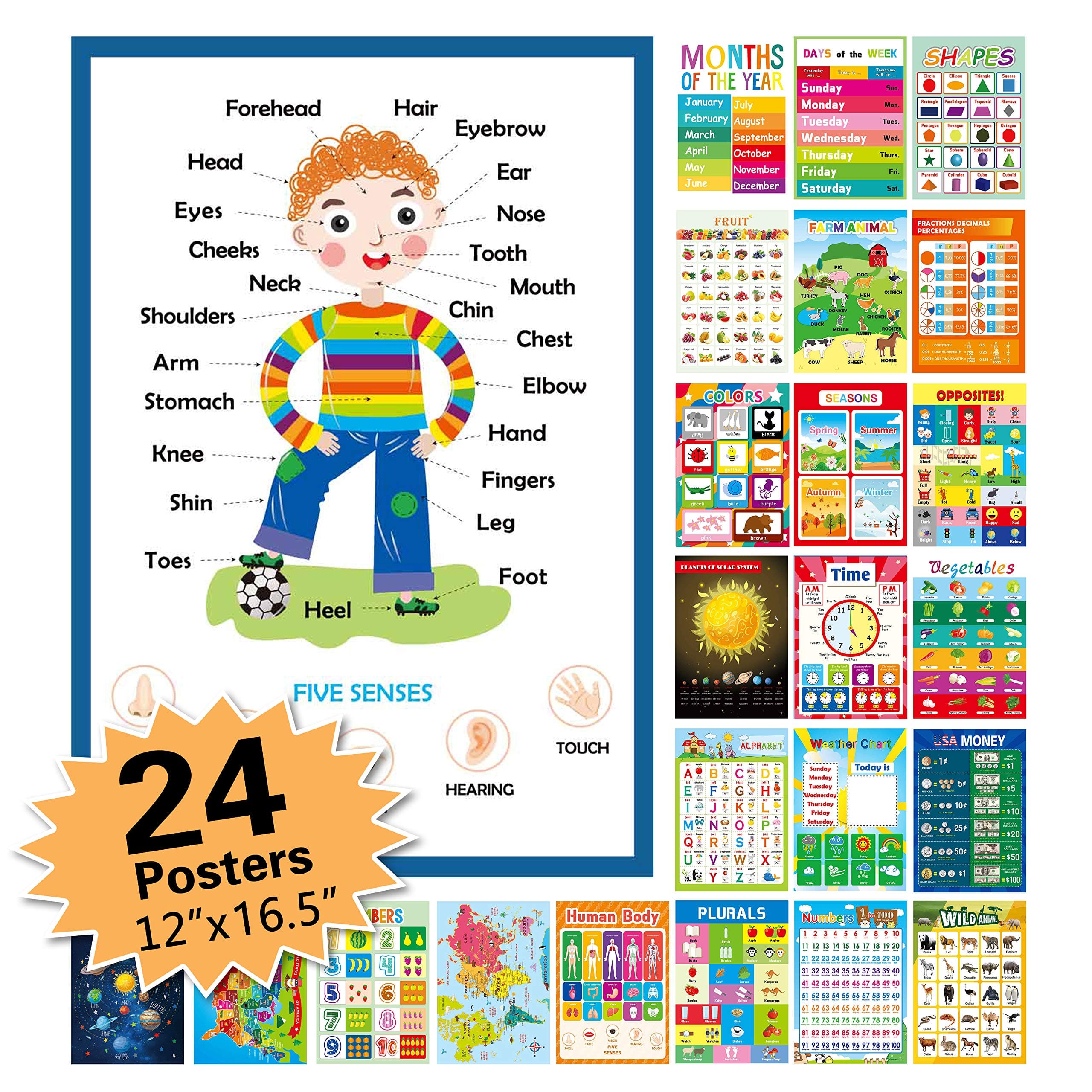Topbooc 24 Pack Educational Posters for Preschool,Classroom Decorations and Decor Earply Learning Chart for Nursery Homeschool Kindergarten Classroom (12”X16.5“)
