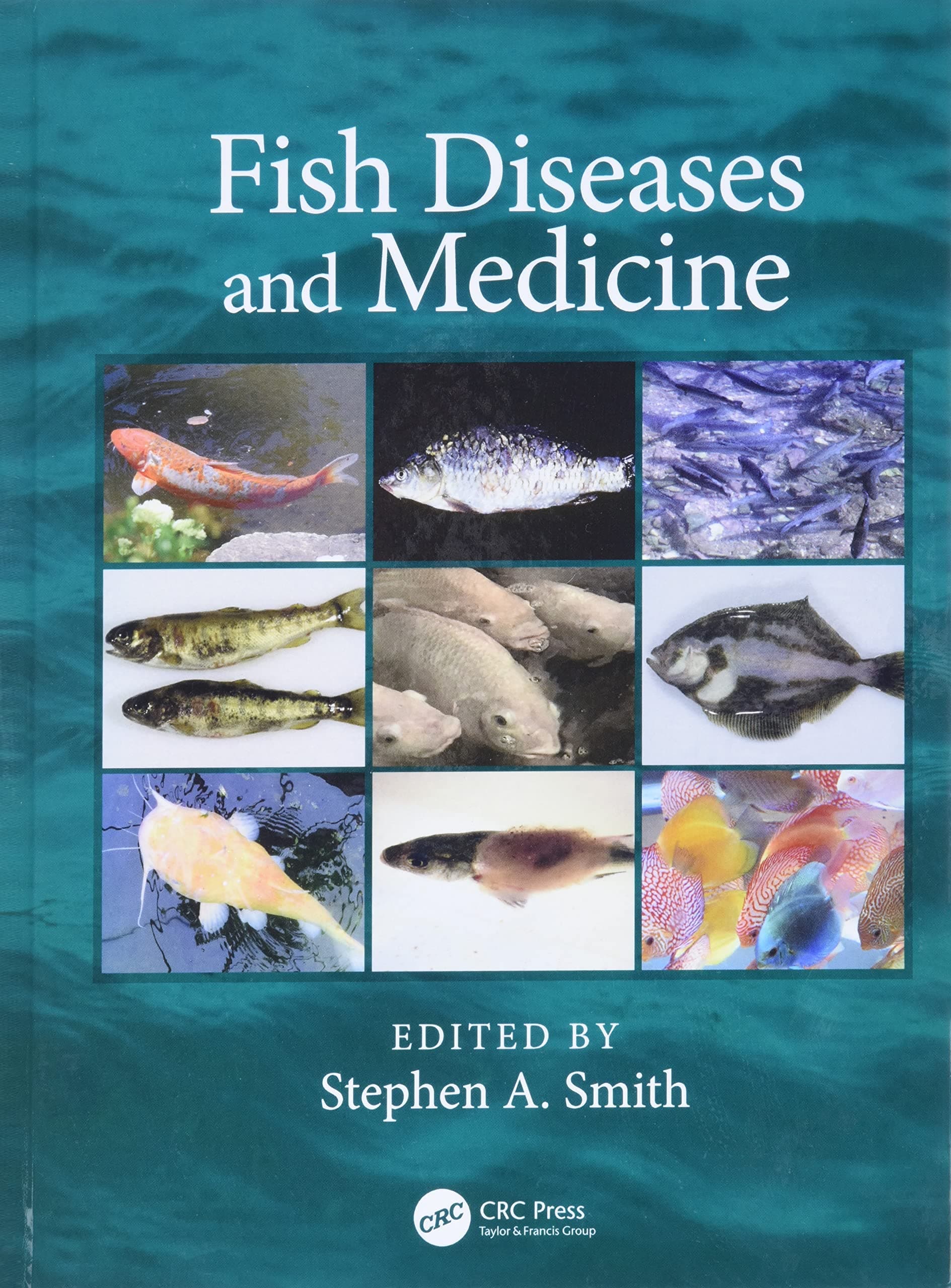 Fish Diseases and Medicine