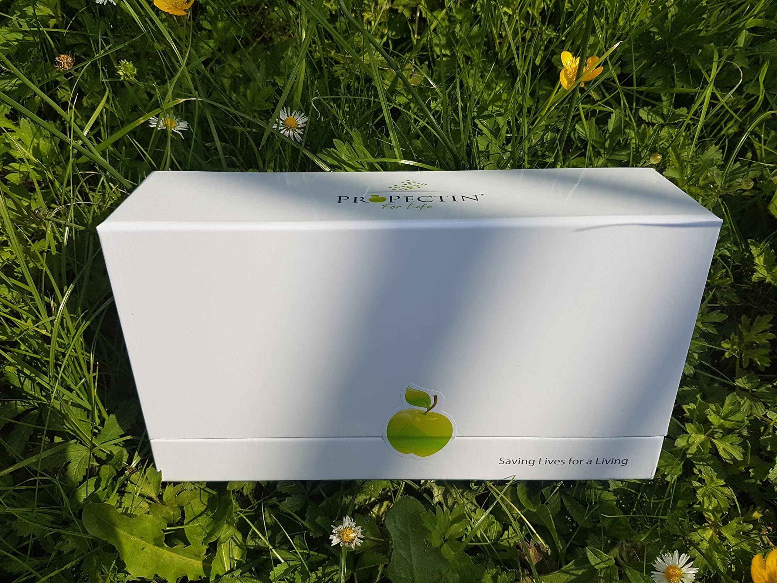 Apple Pectin - Highly Soluble Granules in Single-Serve, Ready-to-Mix Sachets, Food Supplement 1 Box (30 sachets × 13.02 g)