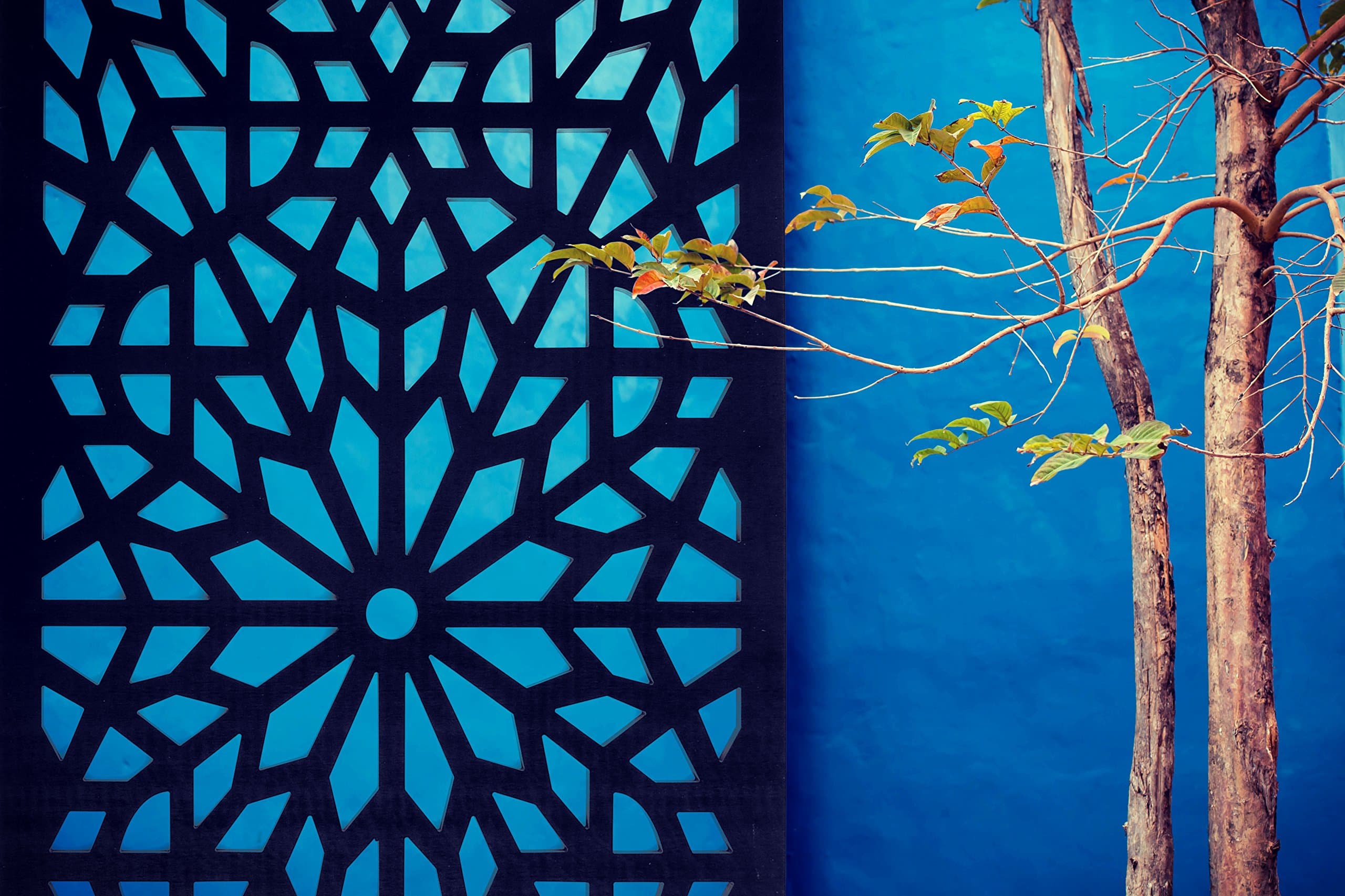 Large Garden Privacy Screen - Various designs (Kaleidoscope)